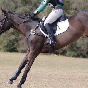 Ariat Tall Field Boots - 8, Tall, Full